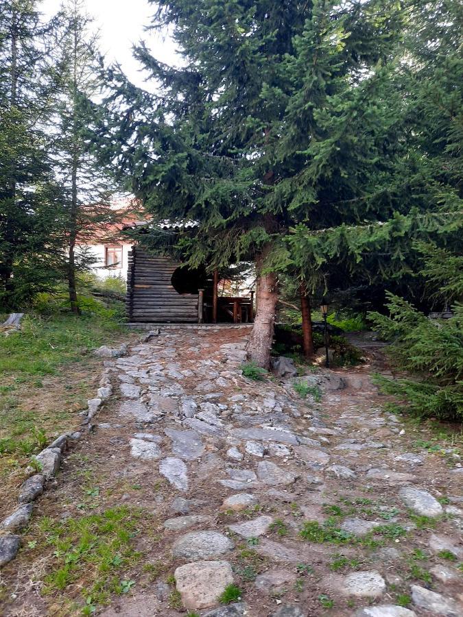 Луксозен апартамент в комплекс Маунтин Лейк , Смолянски Езера - Apartment with 1-bedroom, Smolyan Lakes Экстерьер фото